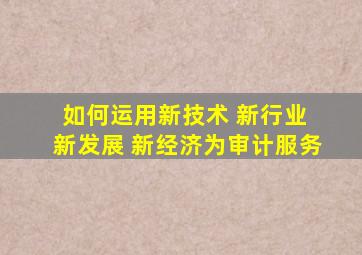 如何运用新技术 新行业 新发展 新经济为审计服务